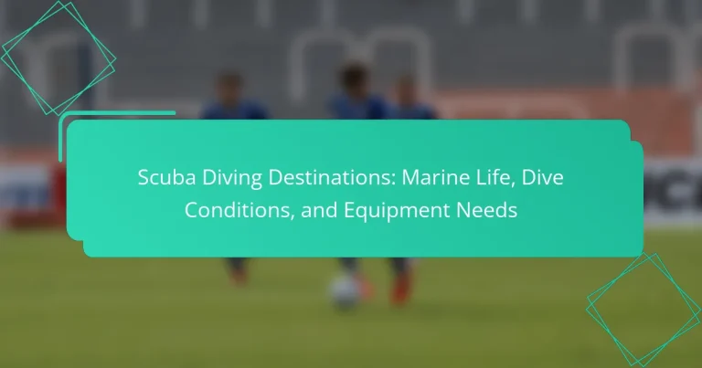 Scuba Diving Destinations: Marine Life, Dive Conditions, and Equipment Needs